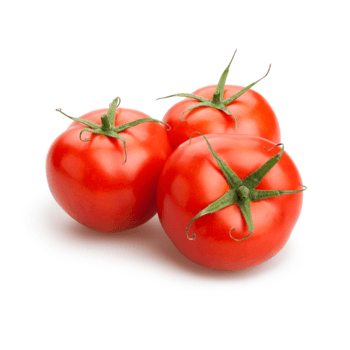 Tomato, 4X5