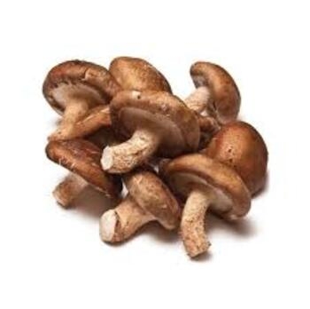 Mushroom, Shiitake, Fresh
