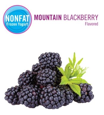 Frozen Yogurt, Non Fat Mountain Blackberry