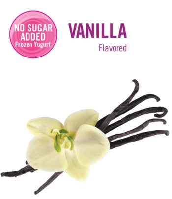 Frozen Yogurt, No Sugar Added, Nf Vanilla