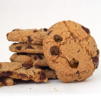 Cookie Dough Chocolate Chip 100% Butter 25101, 583271