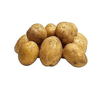 Potato, Russet, (5) 10#