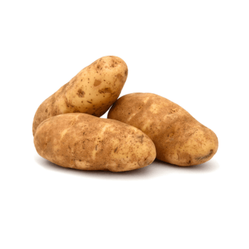 Potato, Russet, #2