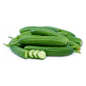 Cucumber, Persian