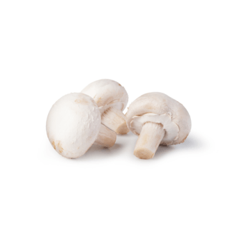 Mushroom, White, Medium