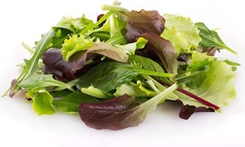 Lettuce, Spring Mix, Organic