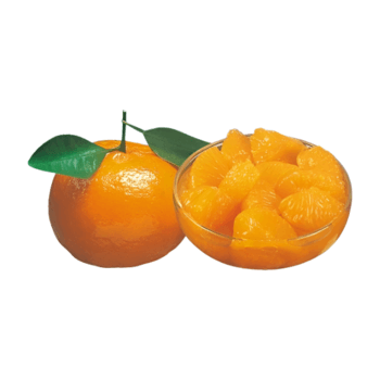 Orange, Mandarin, Segments