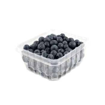 Blueberries, Organic