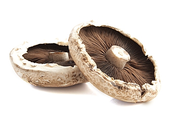 Mushroom, Portabella, Fresh
