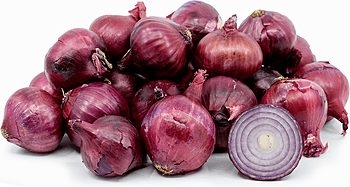 Onion, Red, Boiler, Medium