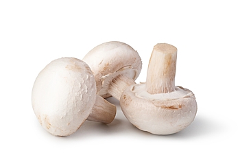Mushroom, White, Extra Large Stuffer