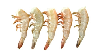 Shrimp, White, Wild Mexican, 8-12, Hlso
