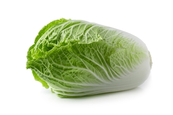 Cabbage, Napa, Shredded, 3/8"