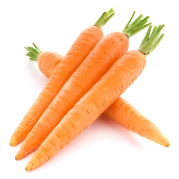 Carrot, Half, Bias, Cut