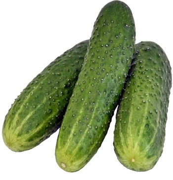 Cucumber, Halfmoon, Peeled
