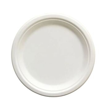 Plate, Bagasse, Natural, Compostable, 9"