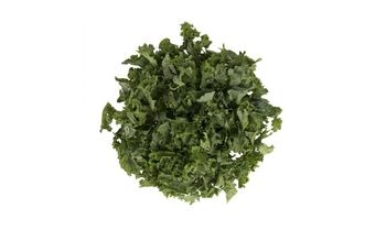 Kale, Green, Chopped, 1"