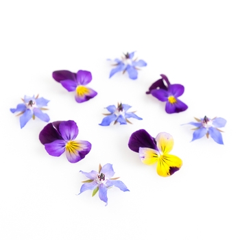 Edible Flowers, Pansy