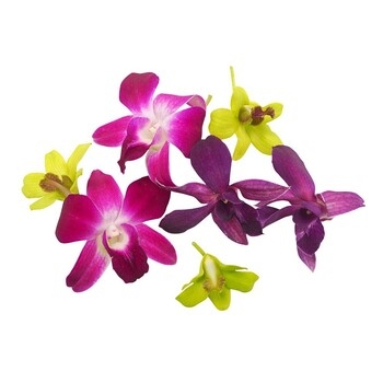 Edible Flowers, Orchid