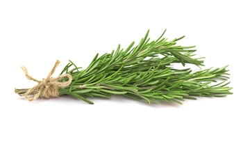 Herbs, Rosemary, Fresh