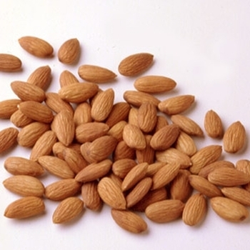 Nut, Almonds, Raw