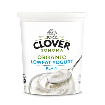 Yogurt, Lowfat, Organic, Plain
