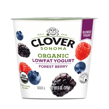 Yogurt, Lowfat, Organic, Forest Berry